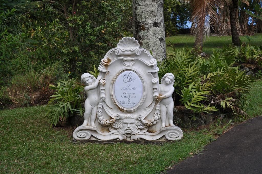 The Palms Cliff House Inn Honomu Екстериор снимка